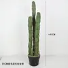 Simulación cactus columna planta grande del desierto cactus nórdico cactus bola planta verde falsa escena interior decoración de ventana