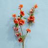 Fabricante Venta al por Mayor Productos Transfronterizos Ramas de Álamo Simulado Flor de Durazno Flores Similares Individuales Ramas de Decoración para Sala de Estar Flores de Invierno Dulce de Seda