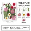 Kit de Materiais DIY com Flores Secas, Decoração de Espécime de Planta Prensada Flor Real Artesanal, Materiais para Porta-Retrato de Resina Artesanal