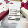 Pasador de Color Frío Transfronterizo Pinza de Pato Chapada en Plata y2k Celebridad de Internet para Mujer Clip Hueco para Flequillo Lateral Accesorios para el Cabello Clip
