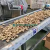 Fábrica de Linha de Produção de Filamento de Proteína de Soja, Linha de Produção de Proteína de Tecido Esférico, Fornece Qualidade de Exportação com Serviço