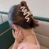 Nuevo Pasador de Pelo de Acrílico con Forma de Ola de Verano para Mujer, Pasador para la Parte Trasera de la Cabeza, Pinza de Tiburón, Pasador 2026 Accesorio de Pelo de Alta Gama