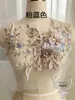 Vestido con Encaje Bordado de Pedrería Hotfix de Colores y Abalorios 3D, Materiales para Manualidades, Accesorios para Ropa