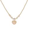 Colar de anel de rosa de estilo francês transfronteiriço feminino leve luxo nicho design de ponta corrente de clavícula novo estilo feminino