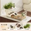 Tanque de Plástico Transparente para Tortugas para Peces Ornamentales, Uso Doméstico, Paisajismo Ecológico para Sala de Estar, Juego Completo de Tanque Pequeño para Peces