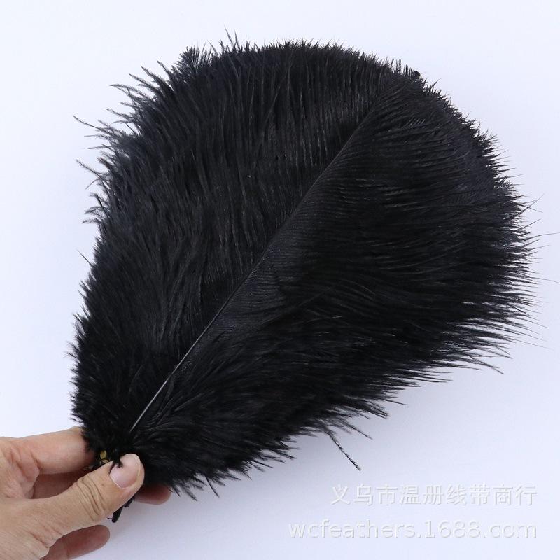 TS0103014 25-30cm black ostric