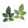 Productos de Venta Caliente Transfronterizos: Varios Estilos de Hojas de Rosa, Plantas Verdes Artificiales, Hojas de Plantas Acuáticas, Arreglos Florales Hechos a Mano para Bricolaje, Accesorios de Decoración para Paredes de Flores