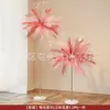 Quarto de Casamento Simulação de Casamento Fogo de Artifício de Junco Pena Grama Pavão Coluna Vestido de Banho Cenário de Foto Conjunto de Decoração Sala de Estar