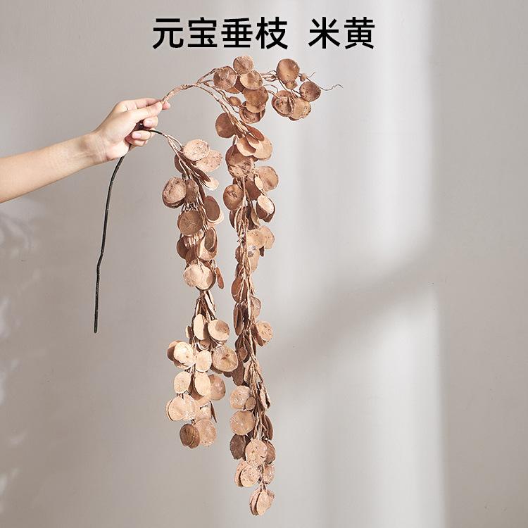 元宝垂枝  米黄