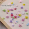Novos Mini Acessórios de Arte para Unhas Flor de Cinco Pétalas Tendência Doce Versátil Flor de Resina 3D Decoração de Unhas DIY