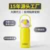 Copo Isolado com Tampa de Pressão 316L, Garrafa de Água de Grande Capacidade, Simples e Portátil, Copo de Aço Inoxidável de Alto Estilo para Duas Bebidas para Meninas, Supermercado