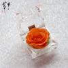 Caja de regalo de flor inmortal de acrílico con rosa de cristal, flor verdadera de confesión, Tanabata, regalo de San Valentín en Amazon.