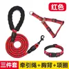 Correa para Perro, Cuerda para Perro, Collar para Perro, Teddy, Golden Retriever, Mascota, Perro Grande, Mediano, Pequeño