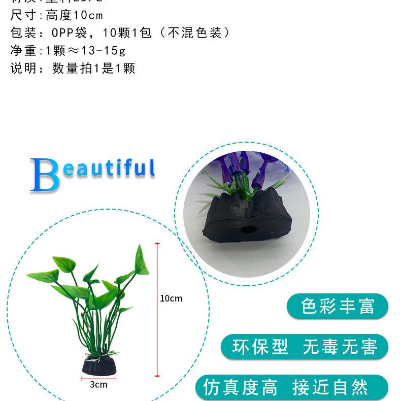 详情_02.jpg