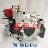 Adecuado para el Motor Yc49243 de Maquinaria de Construcción, Bomba de Combustible F7400-1111100-172