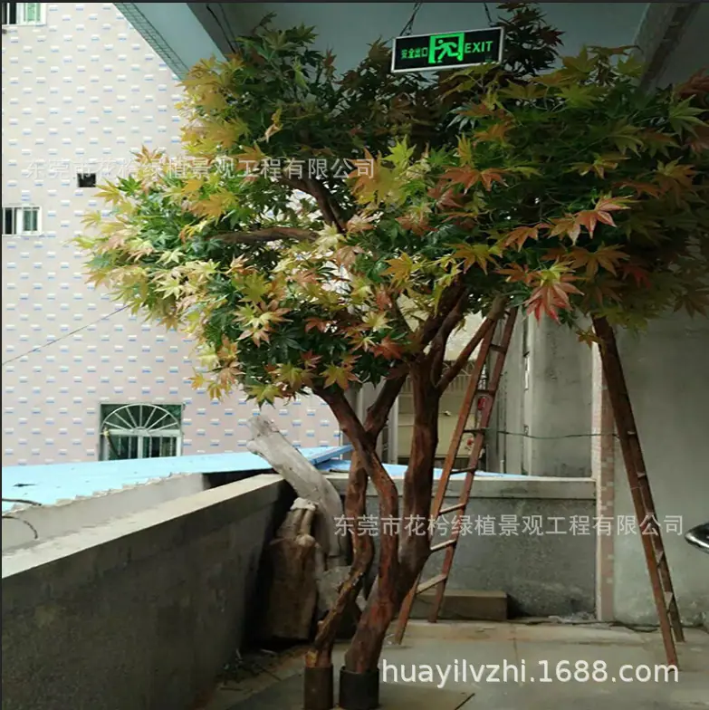 微信图片_201904071735504