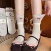 Calcetines Lindos para Mujer, Calcetines de Malla Transpirables Finos de Media Caña para Primavera y Verano, Calcetines Largos Sin Costuras con Bordado de Dibujos Animados Estilo Japonés Gato Kt