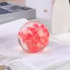 Diente de León Espécimen Flor Eterna Resina Bola de Cristal Enseñanza Preescolar Juguetes de Ciencia Popular Decoraciones para el Hogar Pequeños Regalos