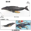 Modelos Realistas de Animales Marinos Transfronterizos: Tiburón Azul, Megalodón, Tiburón Ballena Gris, Tiburón Blanco, Tiburones Martillo Juguetes