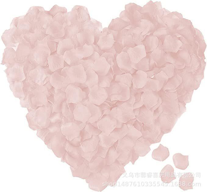 61Hy42qHRAL._AC_SX679_