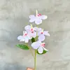 Orquídea Phalaenopsis Artificial Hu Ji Lan Decoração de Mesa Arranjo de Flores Ornamento Flor Seca Parede de Flores de Casamento Fotografia Em Estoque