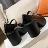 Sapatos de salto alto brancos com salto grosso estilo Chanel, com estampa de grou branco, para mulheres, novo modelo primavera e outono 2026, Mary Jane francês para influenciadoras petite