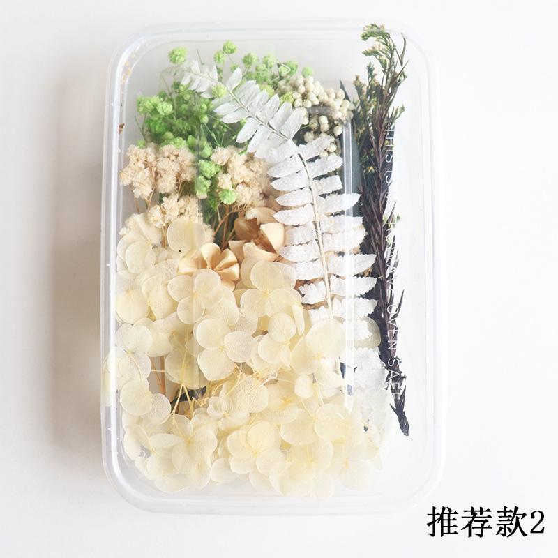 推荐款2