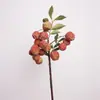 Galhos de Lichia Artificial de Alta Qualidade com Significado Inspirador, Adequados para Arte de Arranjo Floral, Estilo Pastoral, Decoração de Sala de Estar e Janela