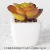Suculentas Simuladas Personalizadas Cerámica Bonsái Plantas Verdes Escandinavas Adornos Hogar Interior Sala de Estar Flores Falsas Suculentas Plantas en Maceta
