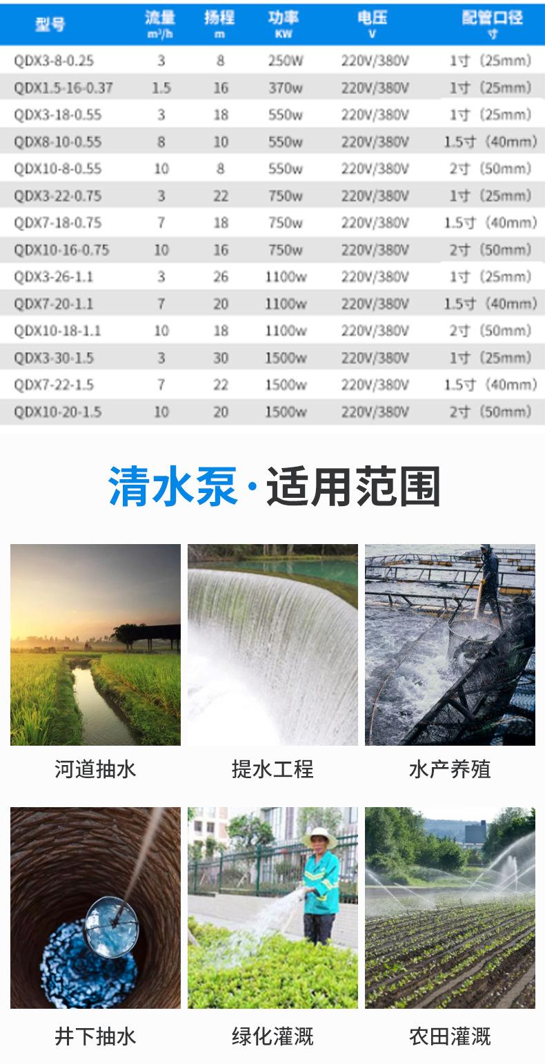 龙珠清水污水潜水电泵_12.jpg