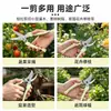 Tijeras de jardinería para recoger fruta, podar ramas, herramientas de recorte de flores, tijeras de podar para plantas en maceta, tijeras de acero inoxidable para árboles frutales domésticos, herramientas de jardinería
