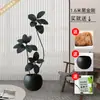 Planta Artificial Verde Grande Black Diamond Árbol de Goma Planta en Maceta de Interior para Sala de Estar Decoración de Planta de Árbol Imitación de Lujo Ligero de Gama Alta