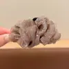 Pinza de pelo pequeña con garra para temperamento de princesa, pinza de pelo lateral estilo coreano exquisita, sensación de alta gama, nuevo pinza de pelo para media coleta 2026
