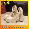 Sapatos Femininos Mary Jane Salto Grosso Tira com Fivela 2025 Novo Primavera Feminino Retrô Francês Sapatos de Couro Pequenos Salto Alto Salto Grosso