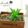 Flores Artificiais, Suculentas, Cabeças de Flores, Suprimentos Criativos para DIY, Acessórios de Parede, Flores Artificiais de Plástico, Plantas Verdes, Fabricantes de Jinhua