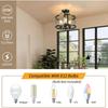 Lámpara de Techo Semi-empotrada de Tres Luces de Hierro Negro y Cristal Transparente, Fábrica Especializada en Iluminación Transfronteriza, Modelo Estándar de Amazon para EE. UU.