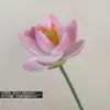 Flores de Loto de Espuma Simulada para Decoración de Estanques de Jardín Estilo Chino, Accesorios de Fotografía Estilo Vintage, Flores Artificiales de Pie