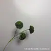 Plantas Verdes, Hierba de Espárrago, Pino Dorado de Mil Capas, Hojas Verdes para Decoración de Techo, Flores Artificiales al por Mayor, Enredaderas de Plantas Verdes Artificiales