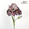 Simulación Retro 2 Flor de Iris de Alicia Flor Artificial Hogar Hotel Belleza Chen Decoración Simulación Pintura al Óleo Estudio Fotográfico