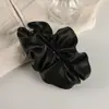 Presilha Banana Plissada de Cetim Estilo Coreano em Formato de Nuvem Simples de Nicho para Rabo de Cavalo com Toque de Luxo, Realça o Volume do Cabelo, Acessório de Cabelo com Presilha Vertical para Penteados