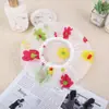 Touca de Banho Estampada com Renda, Touca Espessa para Lavar Cabelo de Mulher Adulta, Touca de Banho, Peva, Tamanho Grande, Atacado, Impermeável