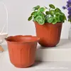 Macetas de Plástico Estilo Pastoral Retro Imitación Cerámica Macetas de Plástico para Florales y Plantas Verdes Plantación Phalaenopsis Pino Verde Macetas para Plantas Verdes
