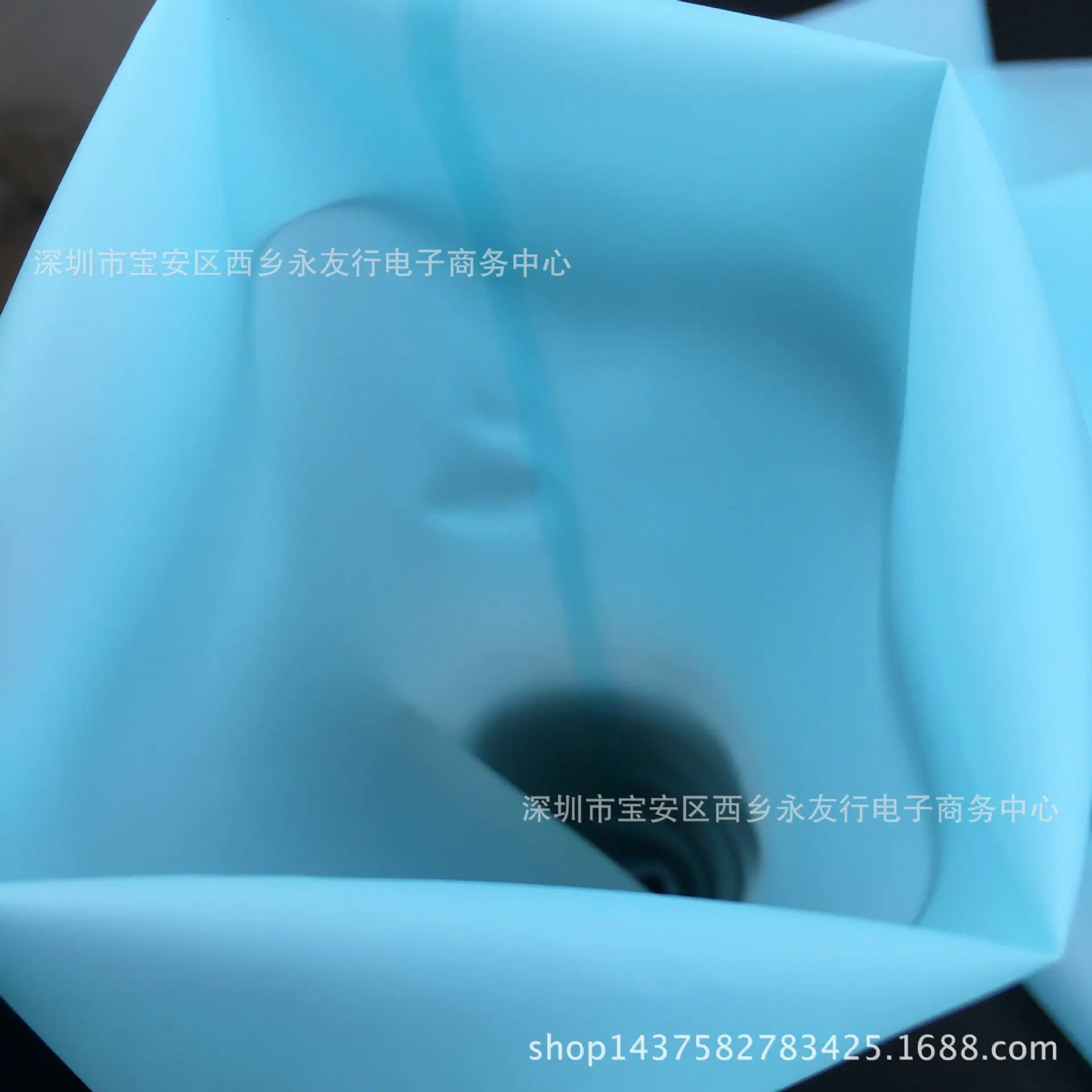 EVA蓝袋IMG_4526