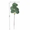 Hojas de Eucalipto de Seda Personalizadas con Frutas para Decoración Floral, Adornos de Hojas de Eucalipto para Decoración del Hogar Transfronteriza, Accesorios de Hojas