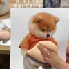Artículo Popular de TiktokJuguete Lindo Creativo para Aliviar el Estrés con Diseño de Cachorro de Panza Grande, Pegatina Anticolisión, Pegatina para Refrigerador