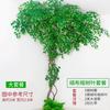 Planta Simulada Árvore Cerejeira Rattan Casamento Paisagem Planta Verde Árvore Morta Cipó Árvore Falsa Cipó Folha Verde Decoração de Interior Tubo