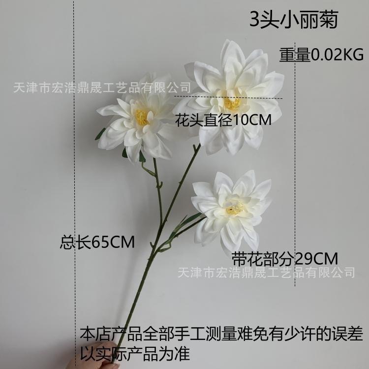 尺寸图