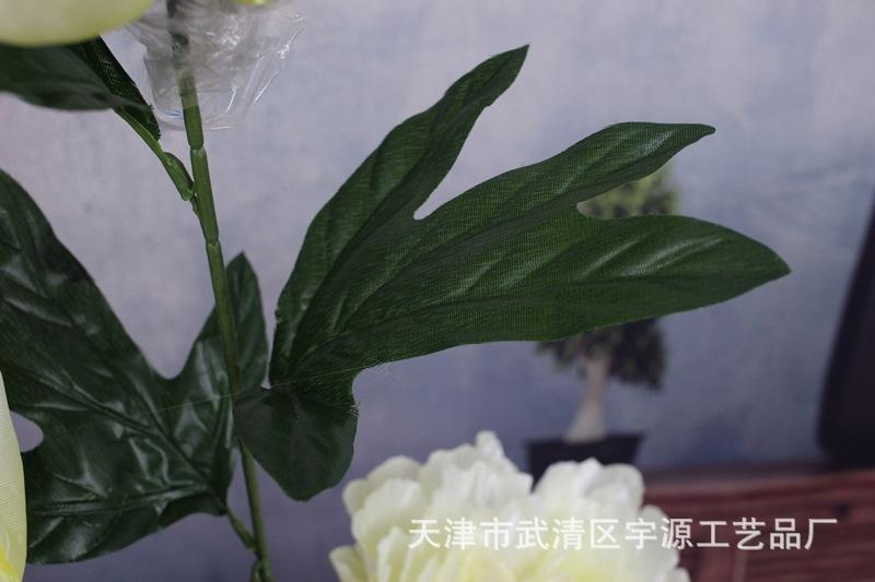IMG_9457_副本.jpg