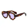 Óculos de Sol Irregulares Estilo Retro Transfronteiriços Óculos de Sol Personalizados Europeus e Americanos para Mulheres Férias Fotografia de Rua Óculos de Sol de Alta Qualidade