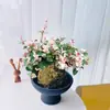 [Piedra Colgante de Flores y Hojas] Plantas Verdes Trepadoras Coloridas, Plantas de Flores en Maceta de Escritorio en la Oficina, Fáciles de Cultivar, Resistentes al Calor y al Frío